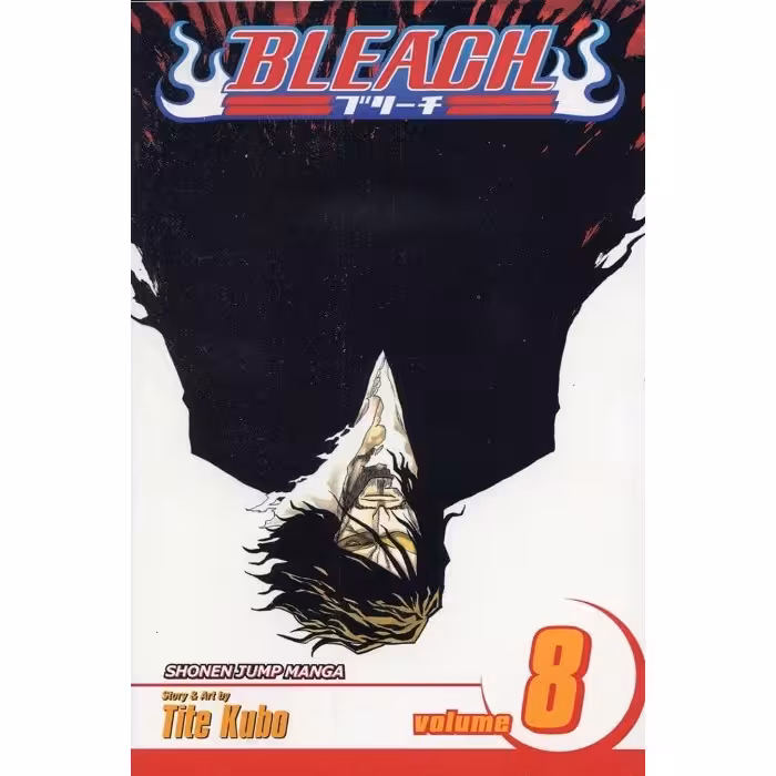 Bleach v08