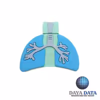 فلش مموری فانتزی  دایا  دیتا   طرح  ریه انسان    مدلPF1101-1 ظرفیت16GB -USB2  