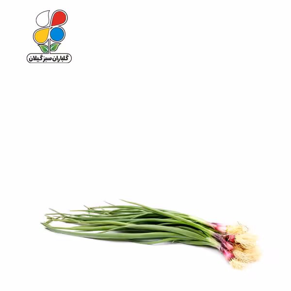 بذر پیازچه قرمز بسته سه عددی