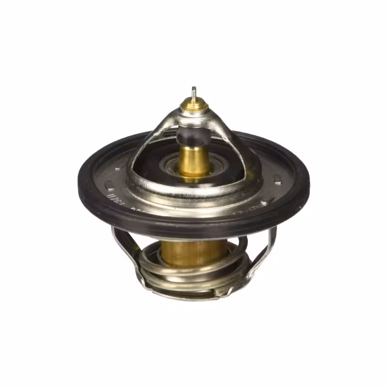 ترموستات کیا ریو