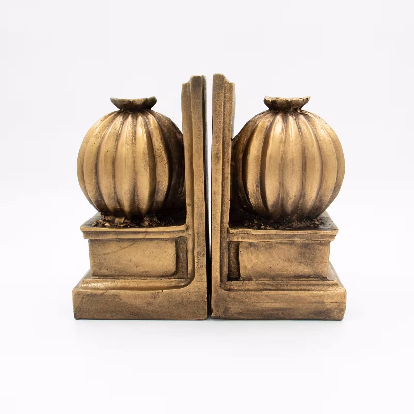 مجسمه پلی استر طرح هولدر کاکتوس