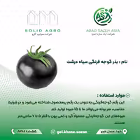 بذر گوجه سیاه درشت  پاکت 1000 عددی