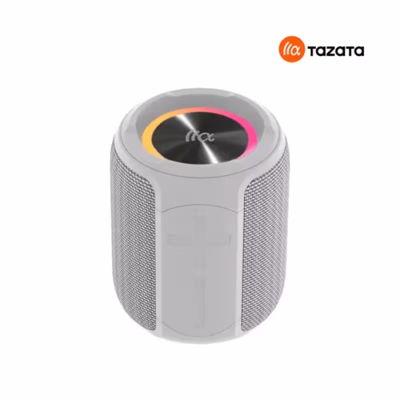 اسپیکر قابل حمل تازاتا طوسی مدل Tazata Palm100 Gray