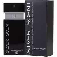 ادو پرفیوم مردانه پینک ویژوآل مدل سیلور سنت حجم 100 میلی لیتر PINK VISUAL SILVER SCENT  PERFUME