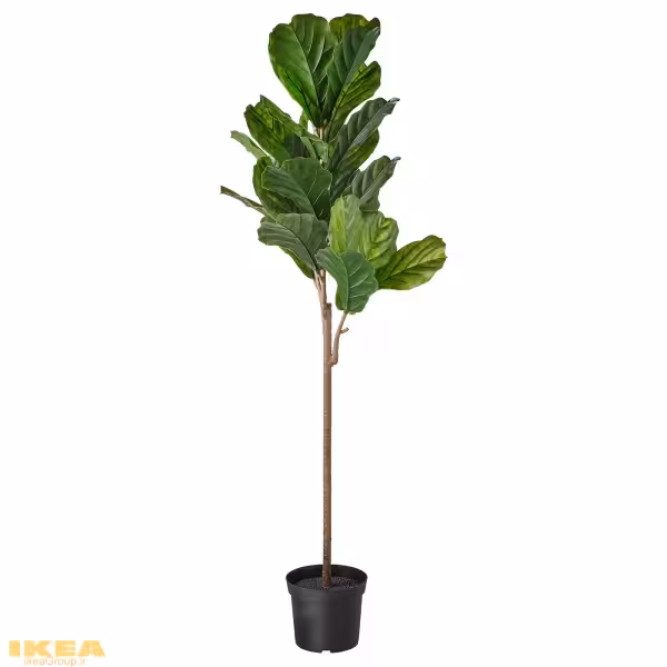 گیاه گلدانی انجیر برگ کمانچه مصنوعی مدل FEJKA | برند ایکیا | ارسال 15 الی 20 روز کاری