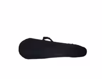 هاردکیس فومی تارhardcase tar