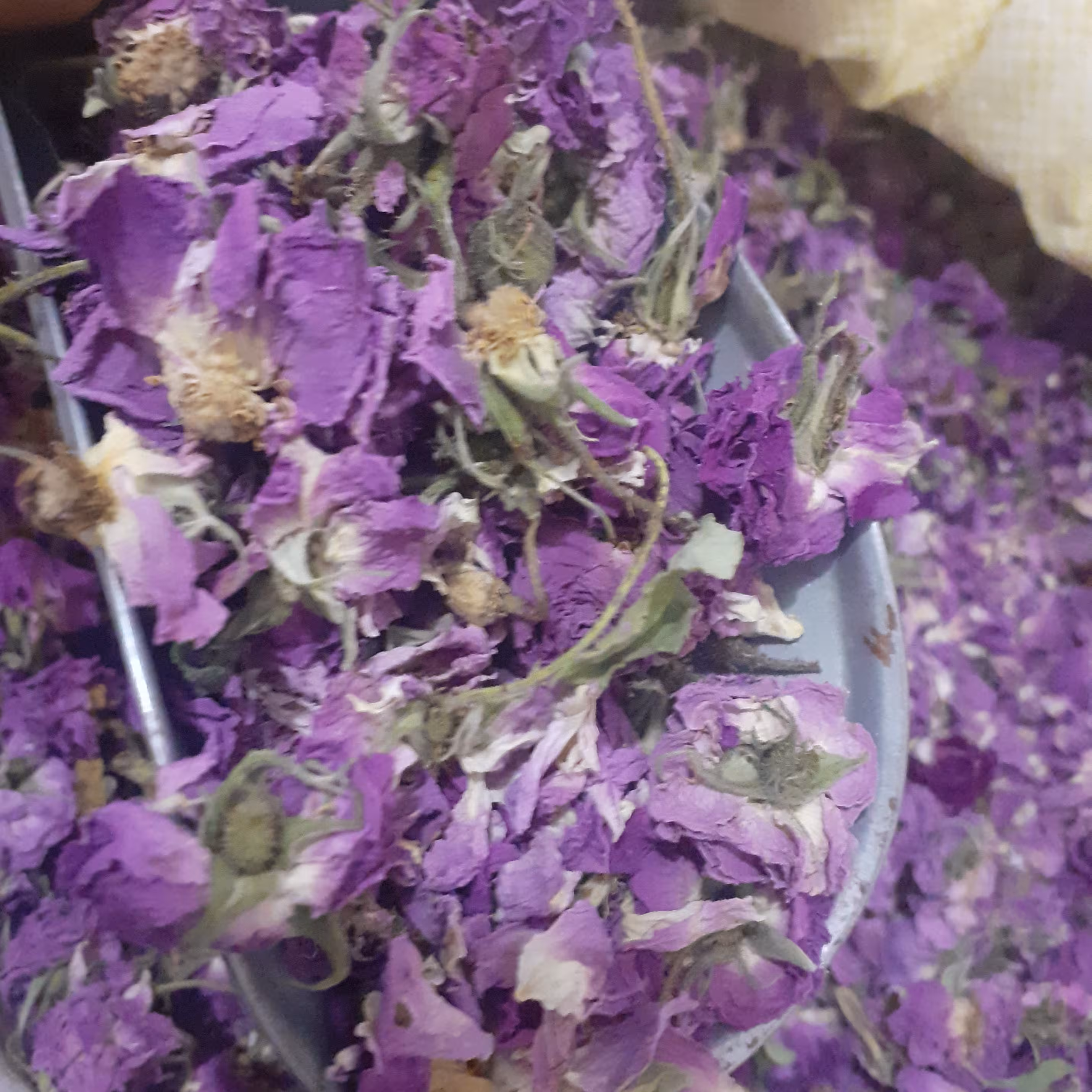 گل محمدی امساله( 1 کیلو گرمی   )