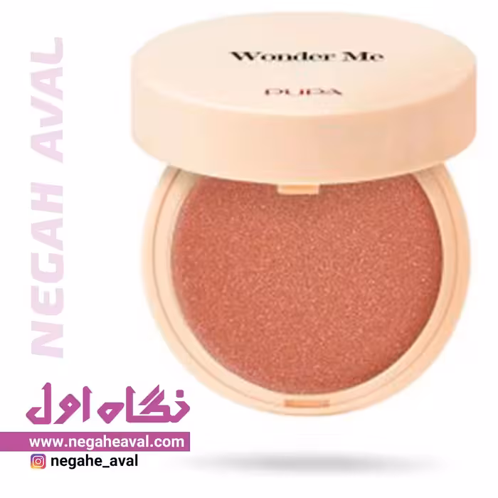 رژگونه پودری Wonder Me پوپا شماره 008