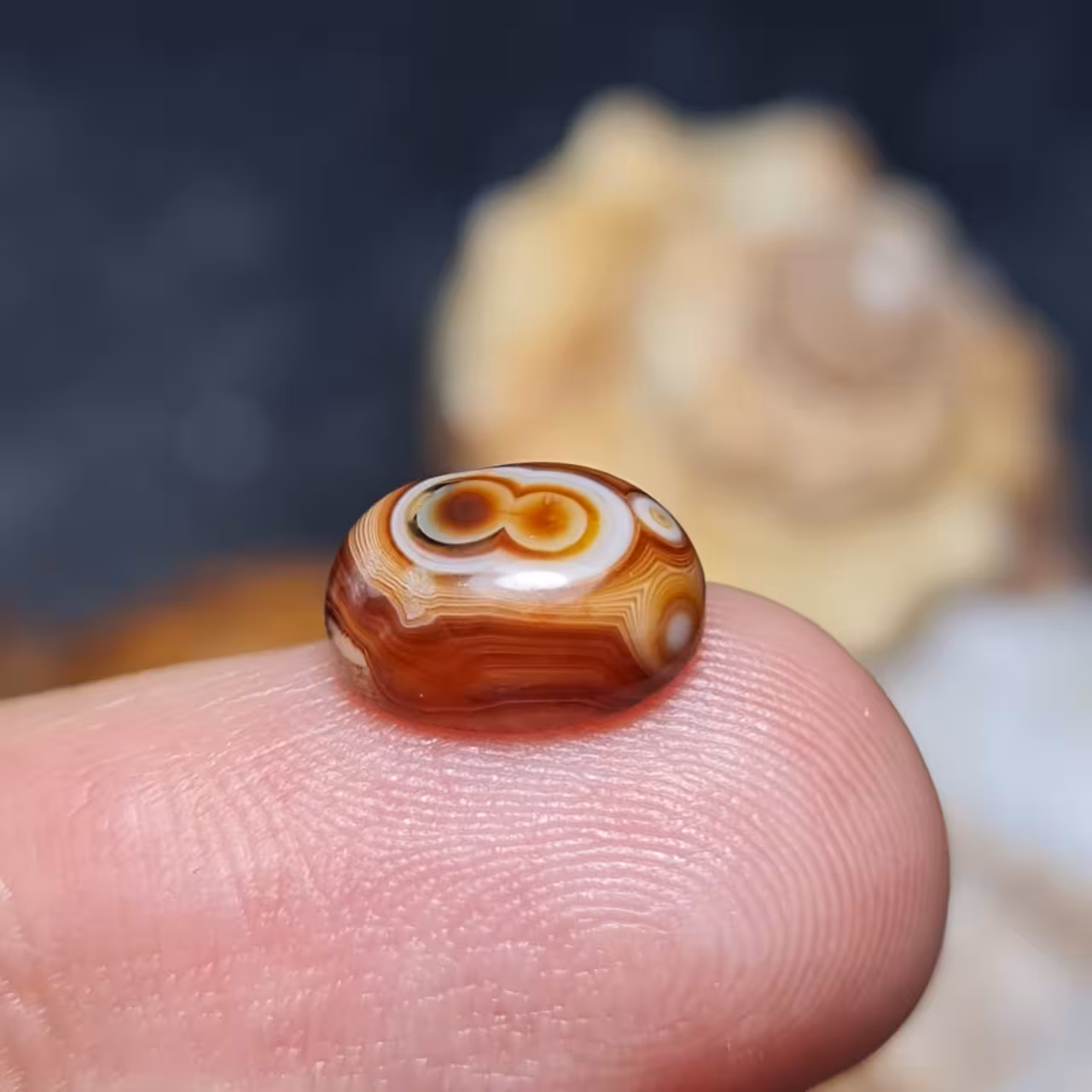  نگین فوق العاده زیبای سنگ عقیق باباقوری خاص اصل معدنی
کد 28083
