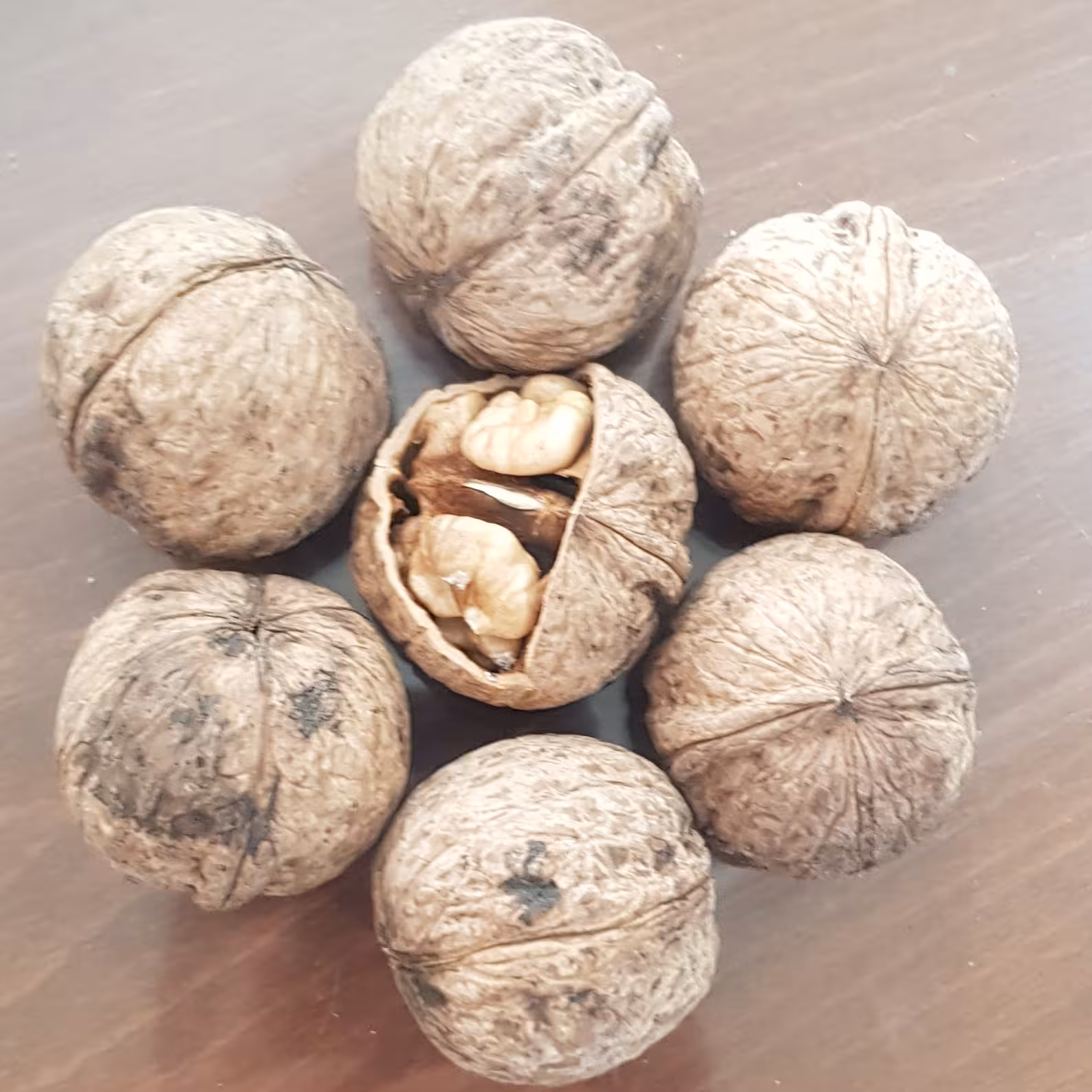 گردوی مراغه ای خوب و عالی (5کیلوگرمی)