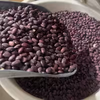 حبوبات لوبیا قرمز