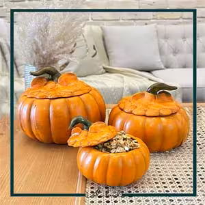 کدو تزئینی درب دار