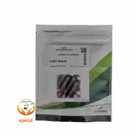 بذر خیار هیبرید ویکتور سمینیس | VICTOR MVR F1  Seminis