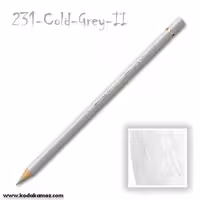 مدادرنگی پلی کروم 231 Cold Grey II
