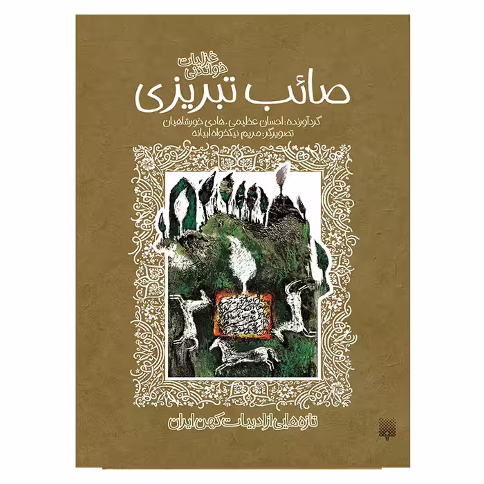 کتاب صائب تبریزی ادبیات کهن اثر هادی خورشاهیان انتشارات پیدایش