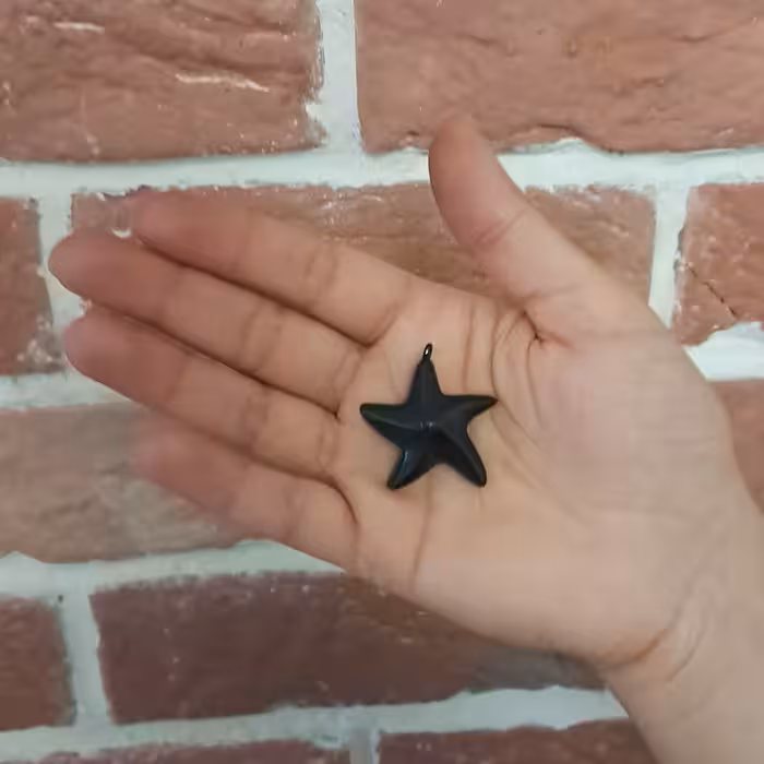 جاکلیدی مدل ستاره دریایی طرح سنگ کد P.23.4.1