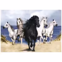 حیوانات مدل اسب کد 26026