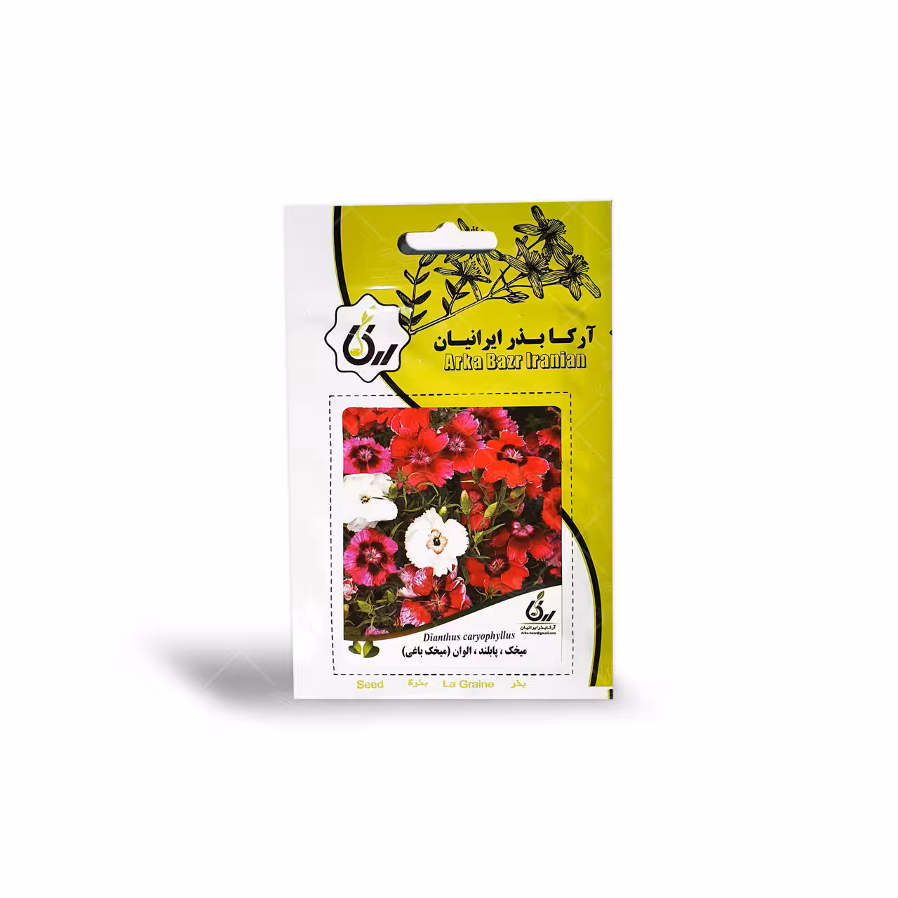 بذر گل میخک پا بلند الوان آرکا بذر ایرانیان