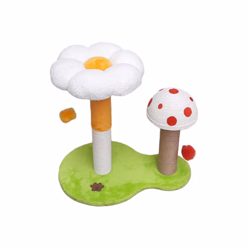 اسکرچر گربه هیوا پت مدل F12 | چاوه