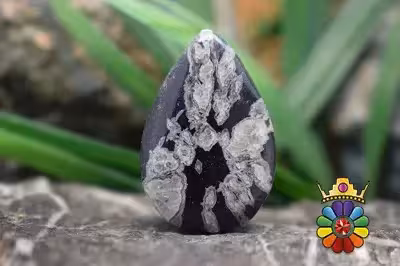 کرایسان تیموم ( سنگ گل داودی)