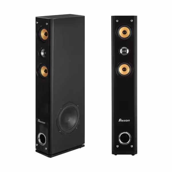 اسپیکر جفتی رکسون 10000