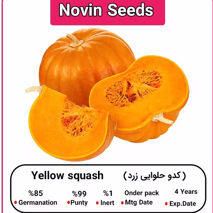 بذر کدو حلوایی زرد (پاکت خانگی)