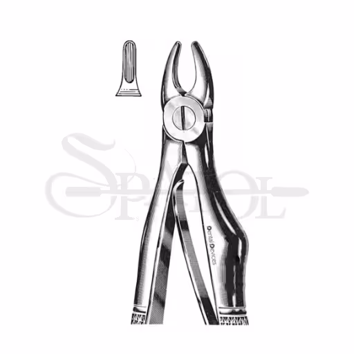 فورسپس سانترال بالا اطفال Pediatric Upper Central Forcepsدنتال دیوایسDental Devices