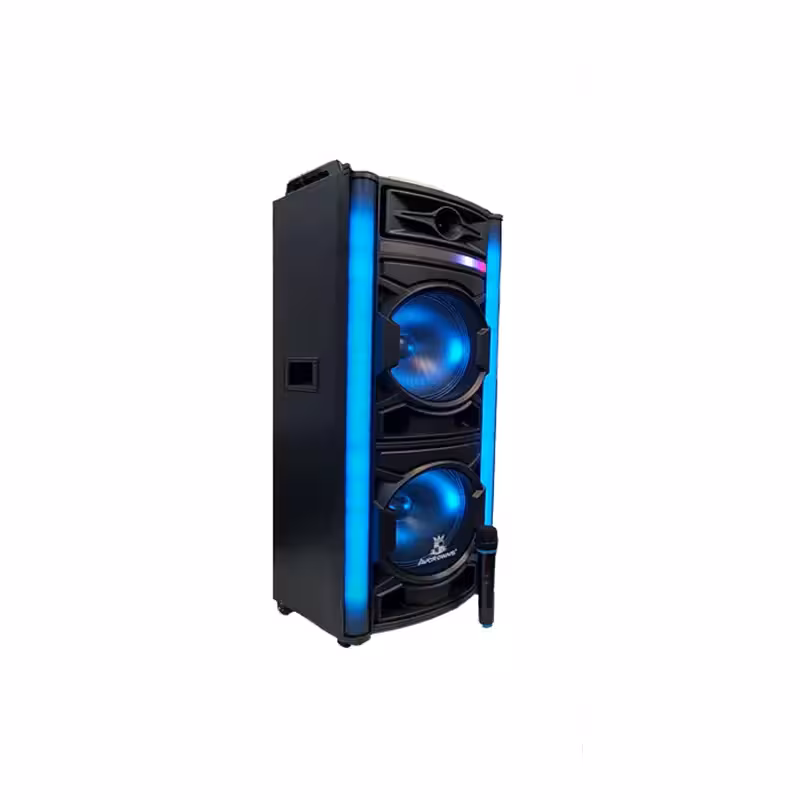 اسپیکر 2 ساب 12 ایستاده 1286 آنیکو