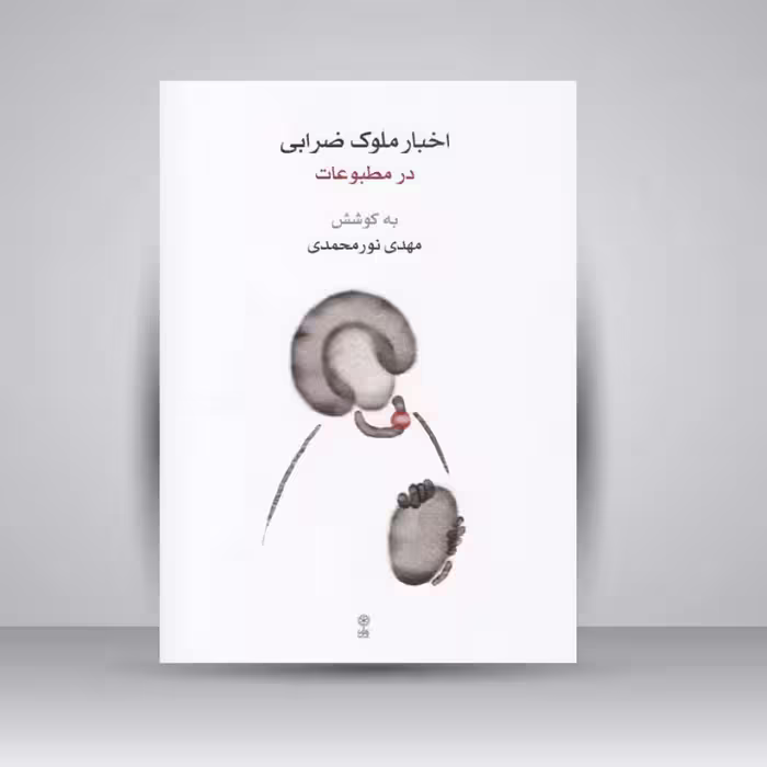 کتاب اخبار ملوک ضرابی در مطبوعات