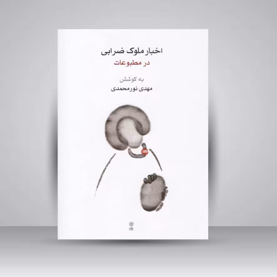 کتاب اخبار ملوک ضرابی در مطبوعات