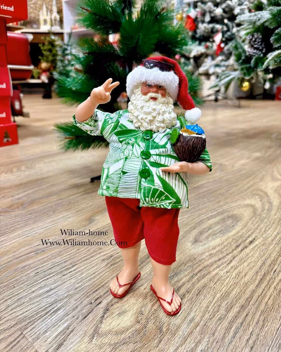 بابانوئل هاوایی santa4