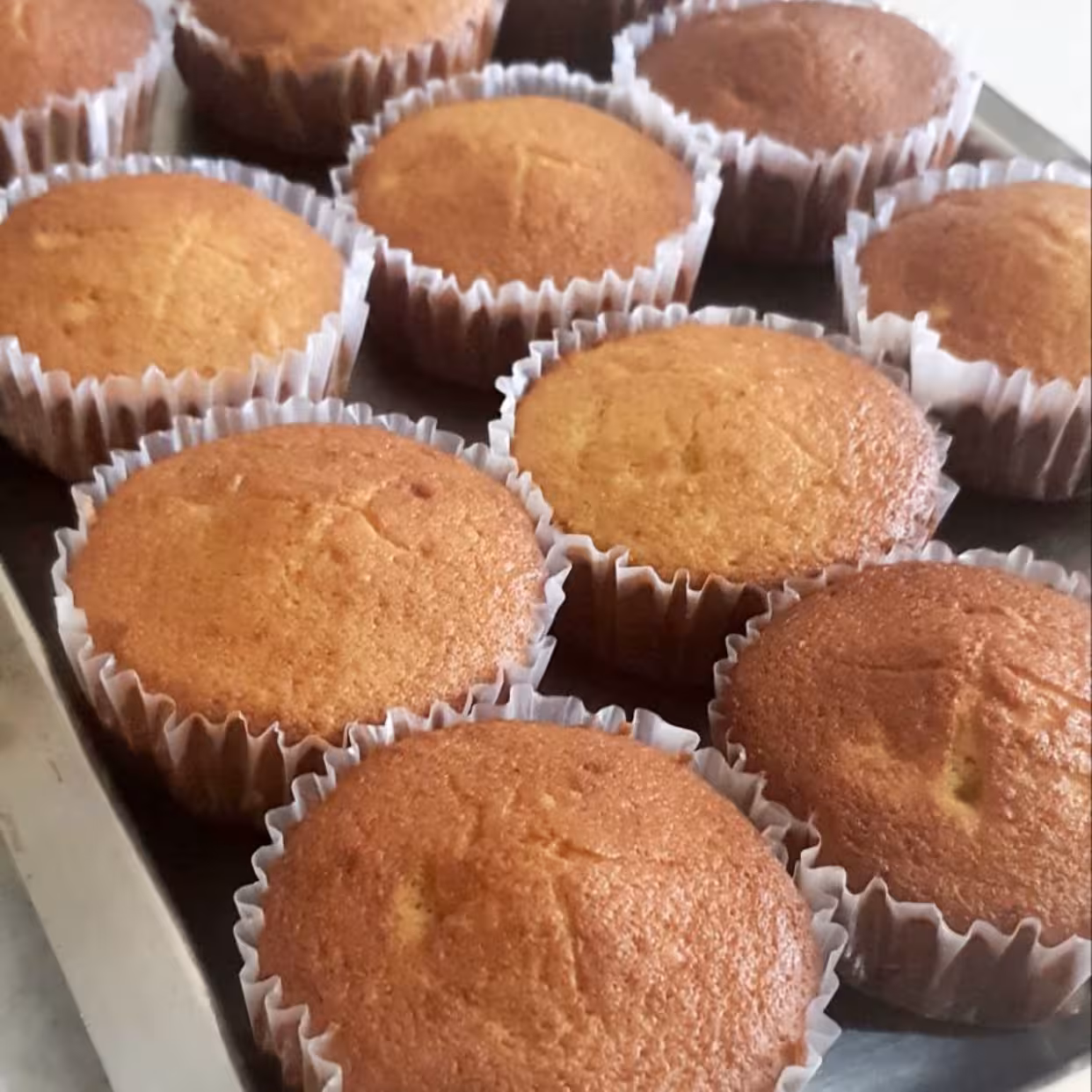 کیک یزدی خانگی (1000گرم)