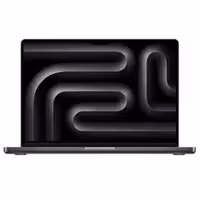 لپ تاپ 14.2 اینچی اپل مدل MacBook Pro MW2V3 2024 LLA-M4-16GB RAM-1TB SSD