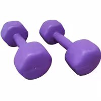 دمبل رادیس فیت مدل RPHF-2000 وزن 2 کیلوگرم بسته 2 عددی