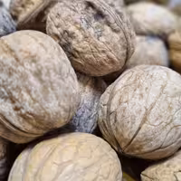 بهترین کیفیت گردو ایرانی یک کیلو