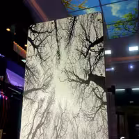 کاخن فنری برند هور