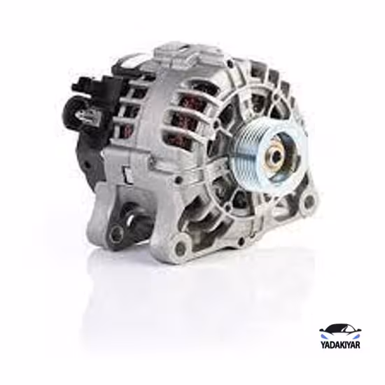 دینام 207 – عظام