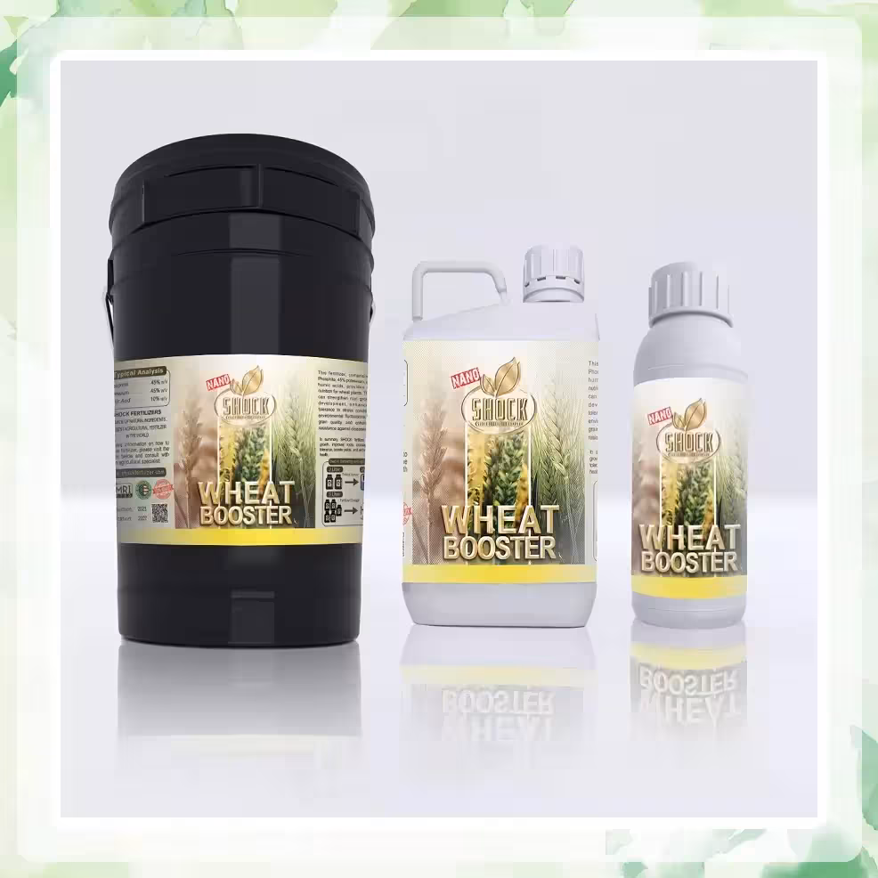 کود مخصوص گندم و جو شوک