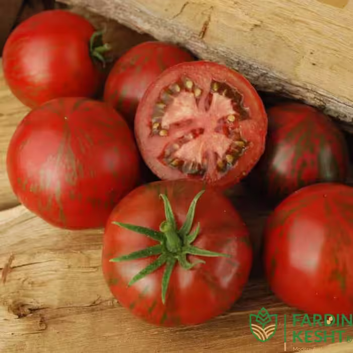 بذر گوجه فرنگی صورتی شرابی Pink Boar آمریکایی بسته 15 عددی