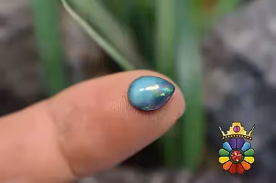 اپال سیاه اتیوپی