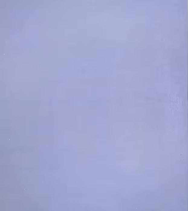 بک دراپ چوبی تکرنگ کد 281 (در 3 سایز)