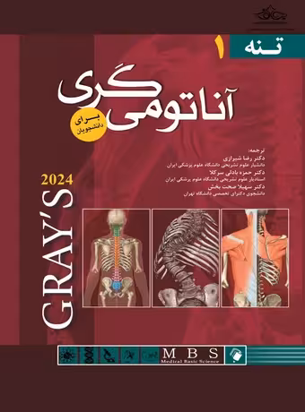 آناتومی گری برای دانشجویان (تنه - جلد اول) 2024