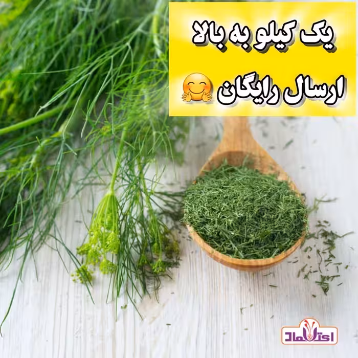 شوید خشک سبز اعلا یک کیلویی اعتماد تازه(سبزی شوید) | amazonchi