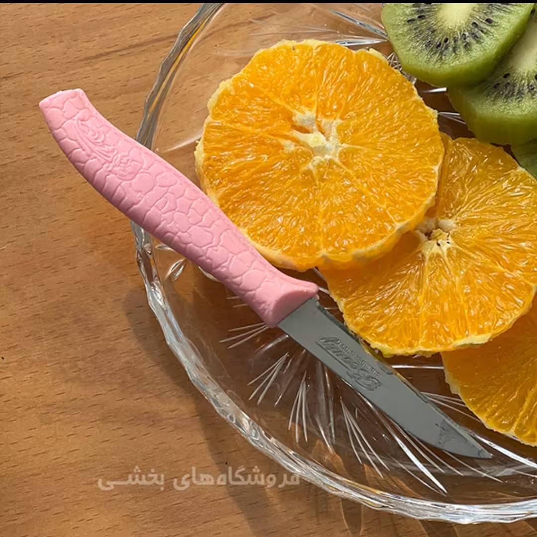 چاقو میوه خوری 12عددی طلقی بیوتی وارداتی