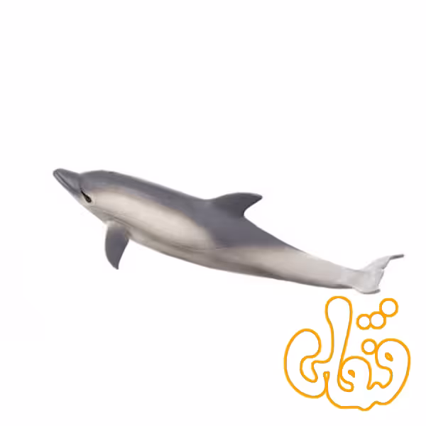 دلفین Common Dolphin 387358
