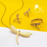 ست کامل سنجاقک