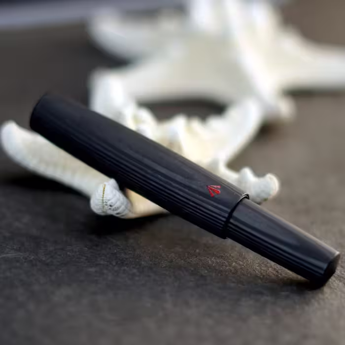 خودنویس گراویتاس جیبی دینکی کربن ایکس GRAVITAS Dinkey eyedropper Carbon X