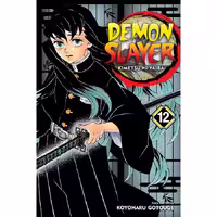 Demon Slayer - Kimetsu no Yaiba V12