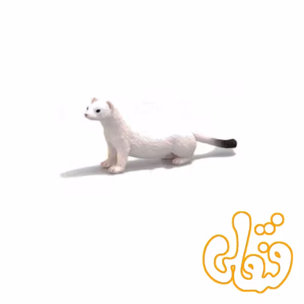 قاقم Ermine 387164