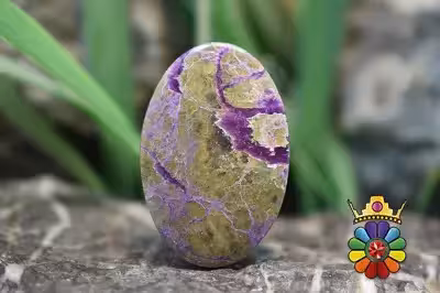 استیچ تیت (اتلانتیسیت)